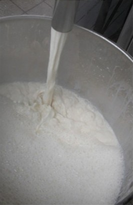 반죽기에 원료를 붓는 모습